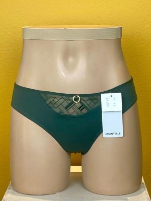 Graphic Support empire green
